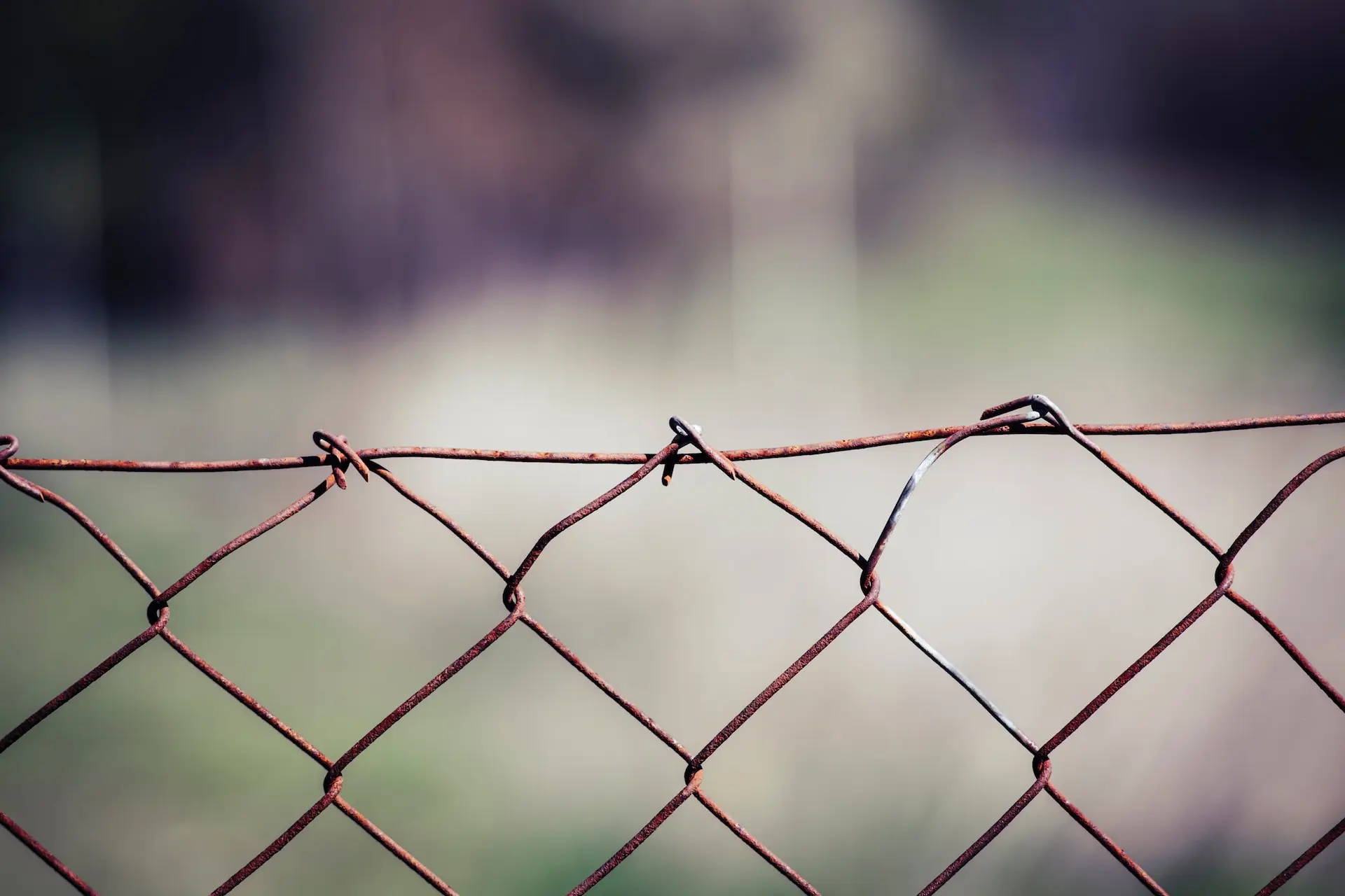 Fence which marks boundaries